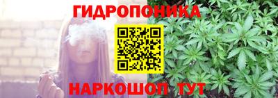 сатива Аргун