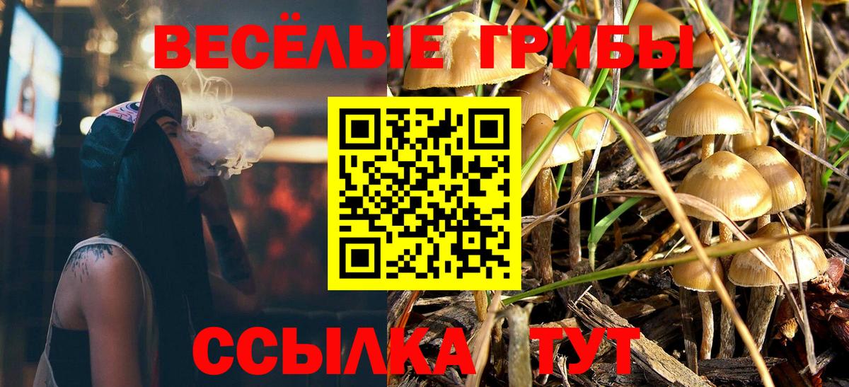 Галлюциногенные грибы ЛСД Богданович