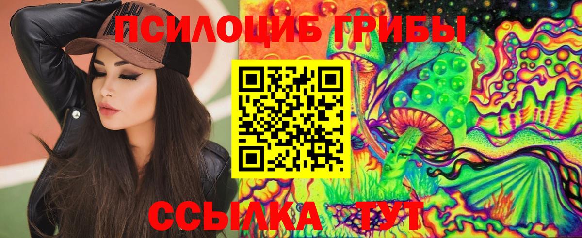 Богданович  Псилоцибиновые грибы Magic Shrooms  Вход с VPN 
