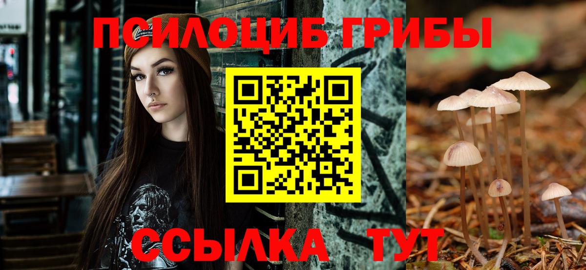 МЕТАМФЕТАМИН Богданович