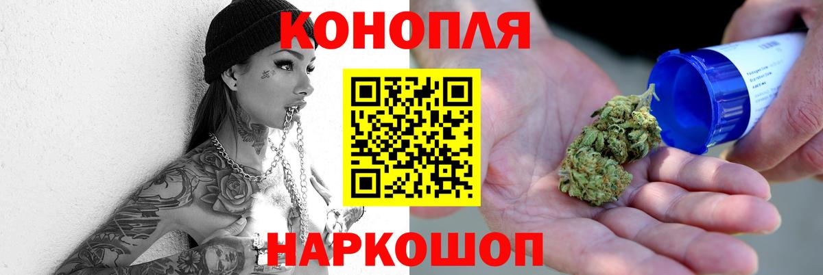 Конопля гибрид  Канабис сатива  Богданович  Вход с VPN 